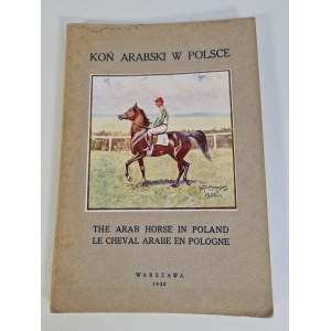 KOŃ ARABSKI W POLSCE Ilustracje 1930