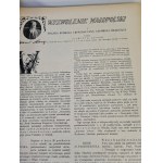 DZIESIĘCIOLECIE POLSKI ODRODZONEJ 1918 - 1928 Wydanie drugie RZADKI WARIANT KOLORYSTYCZNY OPRAWY