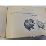 POCZYTAJ MI MAMO(24 tytuły współoprawne) il. BEREZOWSKA , ORŁOWSKA , GRABIAŃSKI