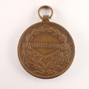 R-U / Rakouská vojenská medaile Za statečnost císaře Karla I., Br,