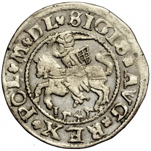 Sigismund Augustus, Litauen, halber Pfennig 1545, Vilnius