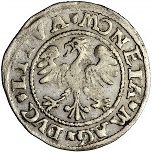 Sigismund II Augustus, Lithuania, halfgroschen 1545, Vilna