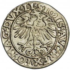 Sigismund Augustus, Litauen, halber Pfennig 1554, Vilnius