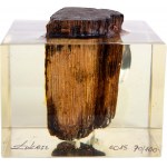 Łukasz SUROWIEC (ur. 1985), Przedwojenna, drewniana kostka podłogowa z pomieszczeń dawnej Fabryki Schindlera; 2015