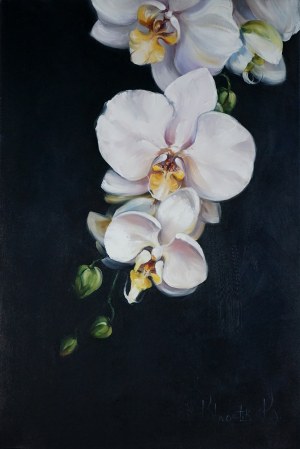 Krystyna Khvostyk, Orchid
