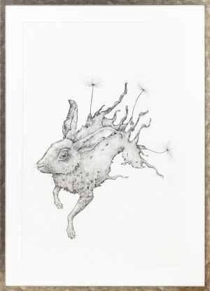 Katarzyna Roman, Hare dandelion, 2016