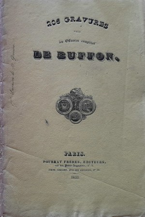 Georges Louis Leclerc de Buffon, Ptaki - kulik, ibis (1833)
