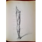 BARCSAY Jeno - Anatomia dla artystów
