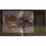 VAVRA'S CATS - album ze zdjęciami artystycznymi