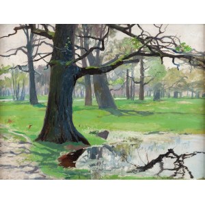 Michal Gorstkin-Wywiórski (1861 Warsaw - 1926 Warsaw), Landscape (Oaks on the Meadows), 1905