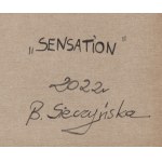 Bożena Sieczyńska (ur. 1975, Wałbrzych), Sensation, 2022