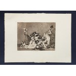Francisco de Goya, Francisco de Goya. Desastres de la Guerra 5. Y son fieras z teki ''Desastres de la guerra de Francisco de Goya'', 1863/2008