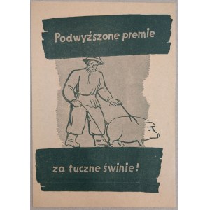 Podwyższone premie za tuczne świnie [niemiecka]
