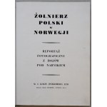 Żołnierz Polski w Norwegji,