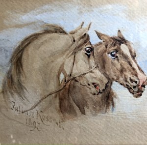 Juliusz Kossak, Studium głów końskich - siwy i kary koń