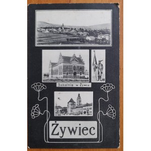 Zywiec.Sokolnia in Zywiec and others