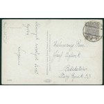 Wesołych Świąt, Wyd. SMPKr., Ser. 404/96, druk kol, ok. 1930