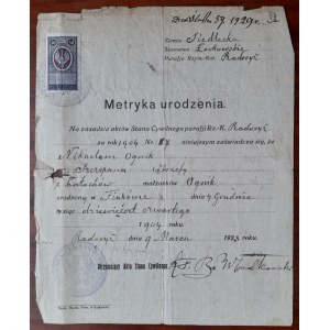 Radoryż pow. łukowski. Metryka urodzenia na nazwisko Nikodem Ognik