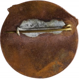 VII. polský sokolský slet v Poznani 1929