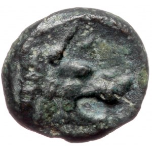 Argolis, Argos AE (Bronze, 0.99g, 9mm) ca 400-375 BC