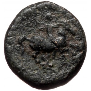 Macedonian Kingdom Philip II (359-336 BC) Æ half unit (Bronze, 13 mm, 3.04g) Uncertain Macedonian mint, 306-297 BC