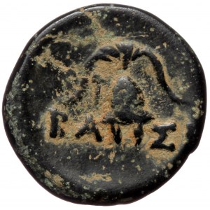 Kings of Macedon, Pella, Demetrios Poliorketes (306-283 BC) AE (bronze, 4,47 g, 18 mm)