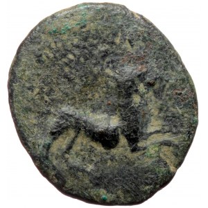 Bosporus Kingdom Polemon I (ca. 15/14-8 BC) AE (Bronze, 4.02g, 20mm)