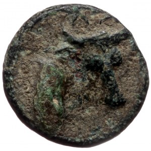 Aeolis, Larissa Phrikonis AE (Bronze, 1.06g, 10mm) ca 4th Century BC.