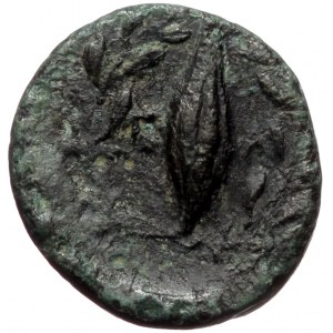 Aeolis, Elaia, AE (bronze, 1,08 g, 12 mm) 350-300 BC