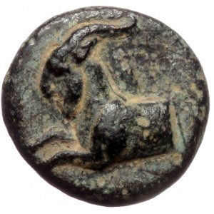 Dynasts of Lycia, Perikles, AE (bronze, 1,18 g, 11 mm)