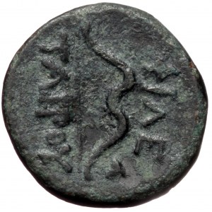 Pergamene Kingdom, Philetairos, or later (282-263 BC), or later, AE (bronze, 1,88 g, 14 mm)