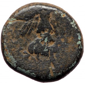 Cilicia, Soloi-Pompeiopolis AE (Bronze, 7.00 g, 20mm) Pompey the Great.