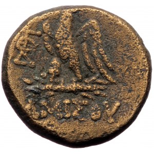 Pontos, Amisos, AE 20 (bronze, 8,44 g, 20 mm) time of Mithridates VI Eupator (120-63 BC) Obv: Laureate head of Zeus rig