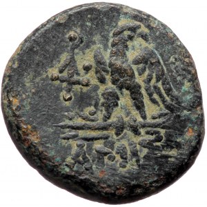 Pontos, Amisos, AE 20 (bronze, 8,00 g, 20 mm) time of Mithridates VI Eupator (120-63 BC) Obv: Laureate head of Zeus rig