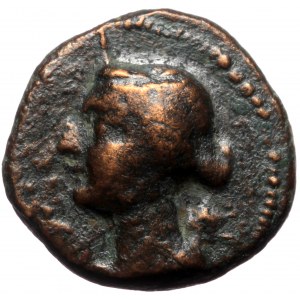 Cappadocian Kingdom, Ariarathes X Eusebes Philadephos (42-36 BC), AE (bronze, 4,00 g, 16 mm)