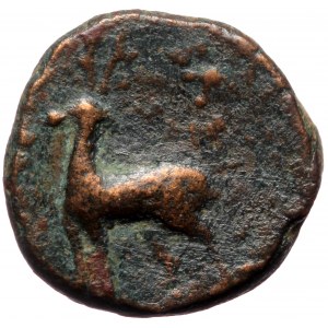 Cappadocian Kingdom, Ariarathes X Eusebes Philadephos (42-36 BC), AE (bronze, 4,00 g, 16 mm)