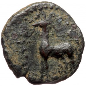 Cappadocian Kingdom, Ariarathes X Eusebes Philadephos (42-36 BC), AE (bronze, 3,16 g, 17 mm)