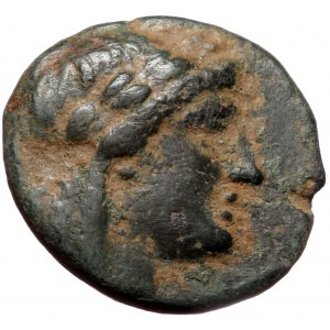 Seleukid Kingdom, SardesAchaios, usurper,(220-214 BC) Æ (bronze, 3,15 g, 16 mm)