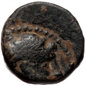 Seleukid Kings of Syria, Antiochos III ‘the Great’ (222-187 BC) Æ (Bronze, 1.68g, 10mm) Antioch mint or uncertain mint a