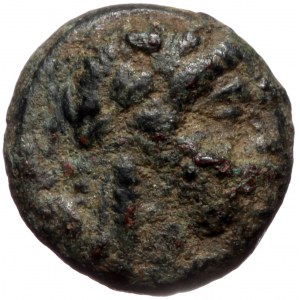 Seleukid Kings of Syria, Achaios, usurper (220-214 BC) AE (bronze, 2,00 g, 12 mm)