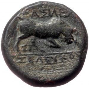 Seleukid Kingdom, Sardes, Seleukos I Nikator (312-281 BC) AE (bronze, 2,89 g, 14 mm)
