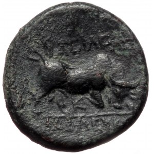 Seleukid Kingdom, Sardes, Seleukos I Nikator (312-281 BC) AE (bronze, 2,46 g, 14 mm)