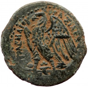 Ptolemaic Kingdom of Egypt, Ptolemy II Philadelphos, Æ Hemiobol (bronze, 4,81 g, 21 mm) Alexandria, ca 265-246 BC