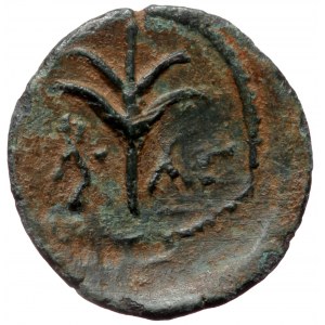 Unreaserched Greek AE (Bronze, 1.59g, 15mm)