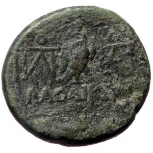 Phrygia, Laodicea ad Lycum, Gaius Caesar (20 BC - AD 4), AE hemiassarion (Bronze, 15,8 mm, 3,76 g), struck under the mag