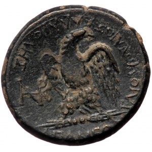 Phrygia, Apamea, Tiberius (14-37), AE (Bronze, 19,7 mm, 5,71 g), struck under the magistrate Gaios Ioulios Kallikles. Ob