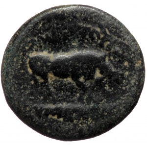 Phrygia, Eumeneia, Tiberius (14-37), AE (Bronze, 18,2 mm, 4,26 g). Obv: [Σ]ΕΒΑΣΤΟ, bare head of Tiberius right.