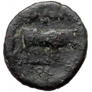 Pisidia, Antiochia, Titus as caesar ? (69-79), AE (Bronze, 22,2 mm, 6,65 g). Obv: [C]AE VA AVGVSTI P […], bare head to r
