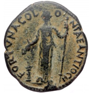 Pisidia, Antiochia, Antoninus Pius (138-161), AE (Bronze, 245,3 mm, 7,78 g).