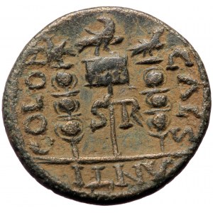 Pisidia, Antiochia, Philip I Arab (244-249) or Philip II (246-249), AE (Bronze, 25,2 mm, 8,96 g). Obv: IMP M [IVL PHILI